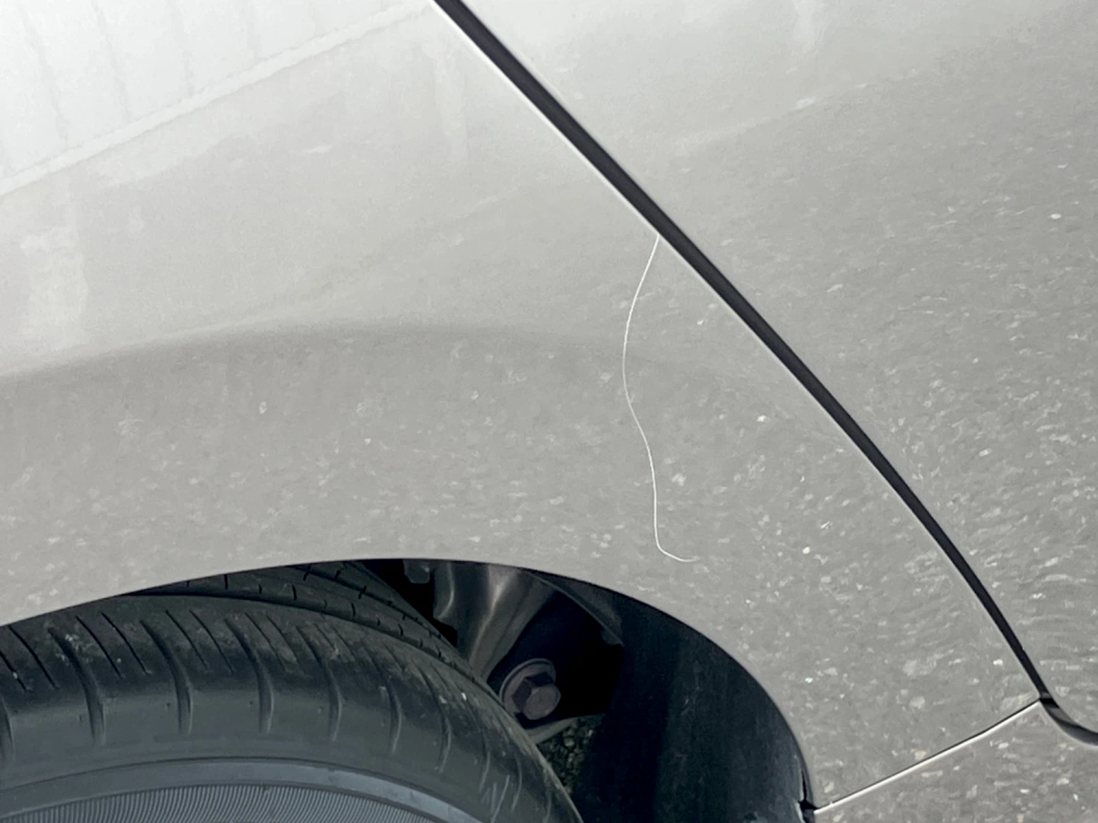 傷の画像です。拡大した画像です