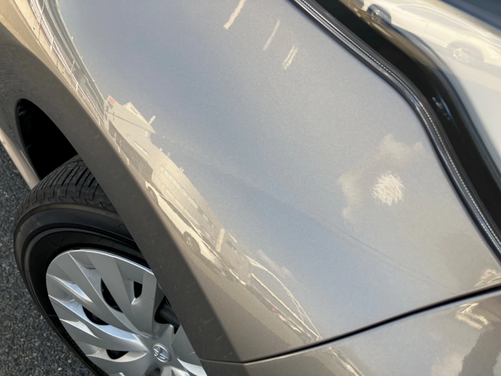 傷の画像です。拡大した画像です